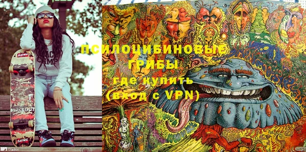 шишки Алексеевка