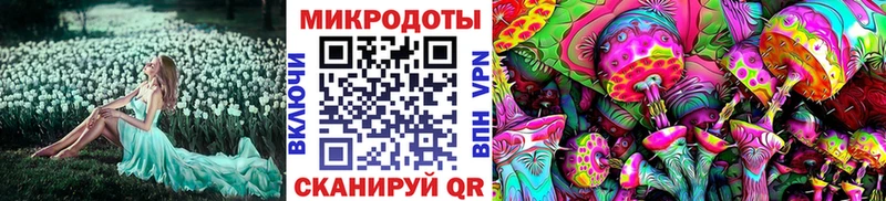 Псилоцибиновые грибы Cubensis Черноголовка