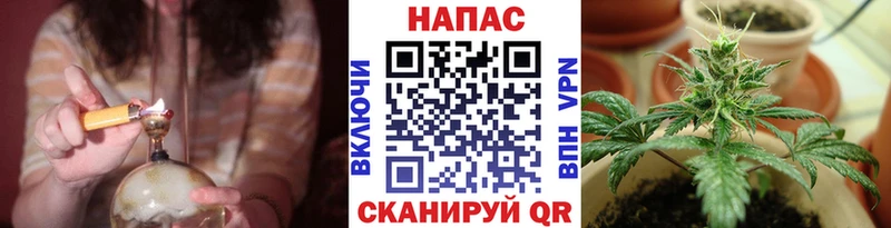 продажа наркотиков  MEGA зеркало  Бошки марихуана сатива  Черноголовка 